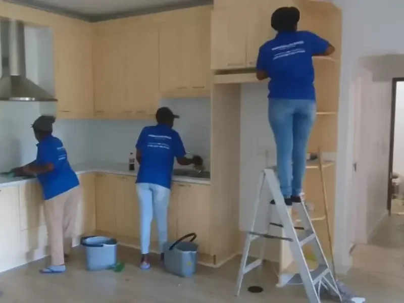 domestic-wanted